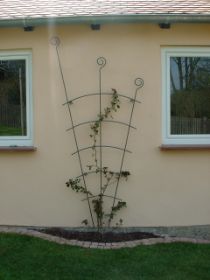 Rankhilfe Rosen Wand.JPG